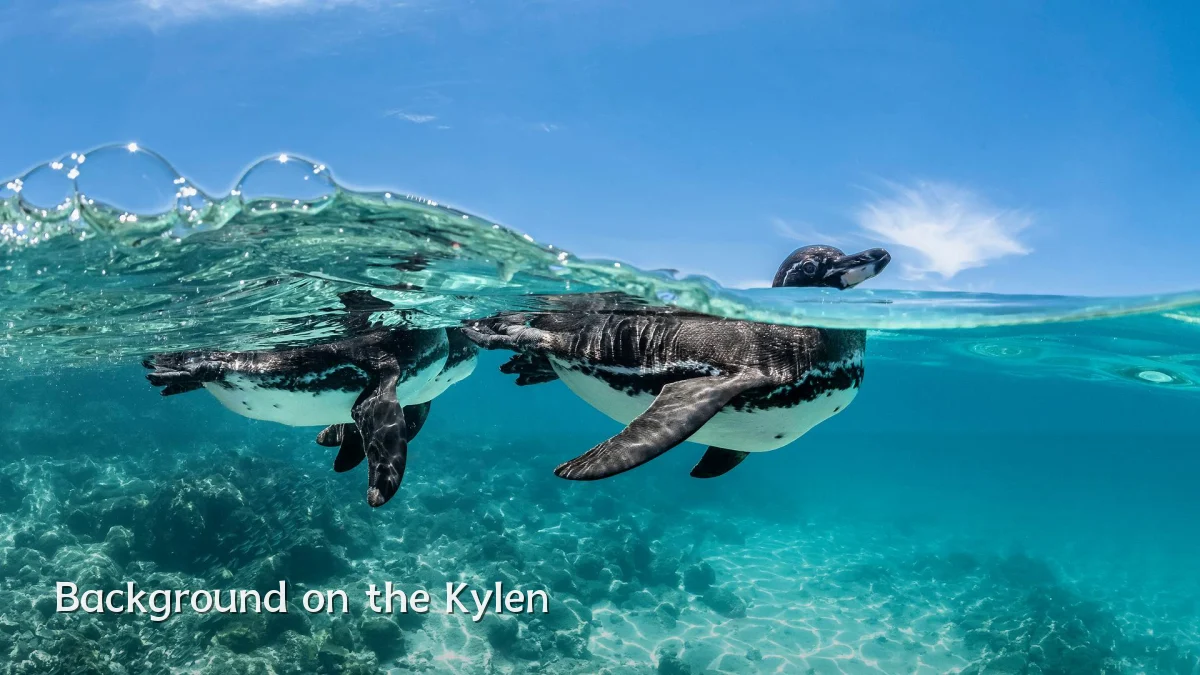 Background on the Kylen