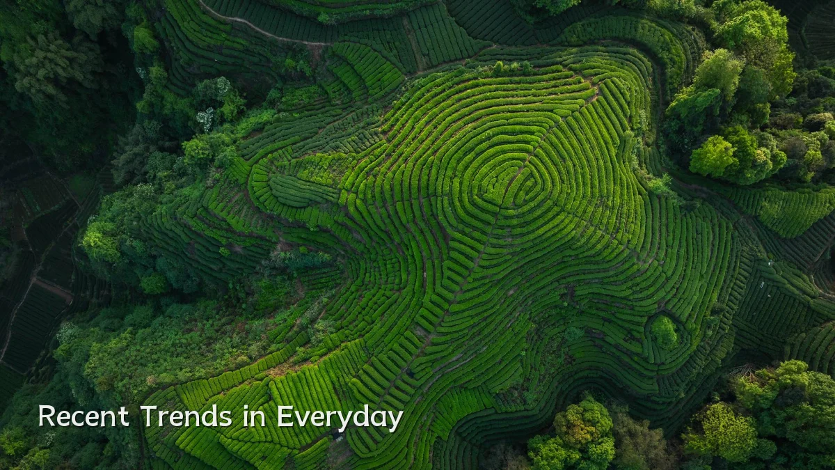 Recent Trends in Everyday