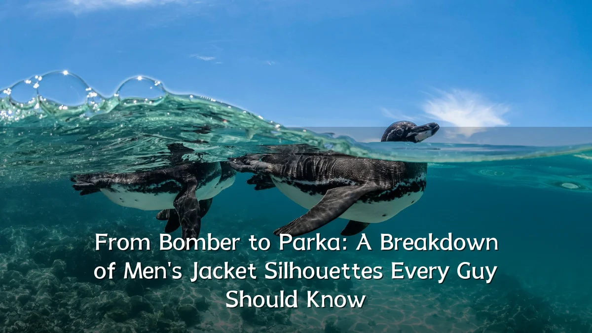 From Bomber to Parka: A Breakdown of Men's Jacket Silhouettes Every Guy Should Know