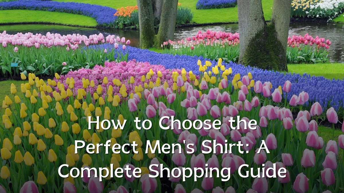 How to Choose the Perfect Men's Shirt: A Complete Shopping Guide