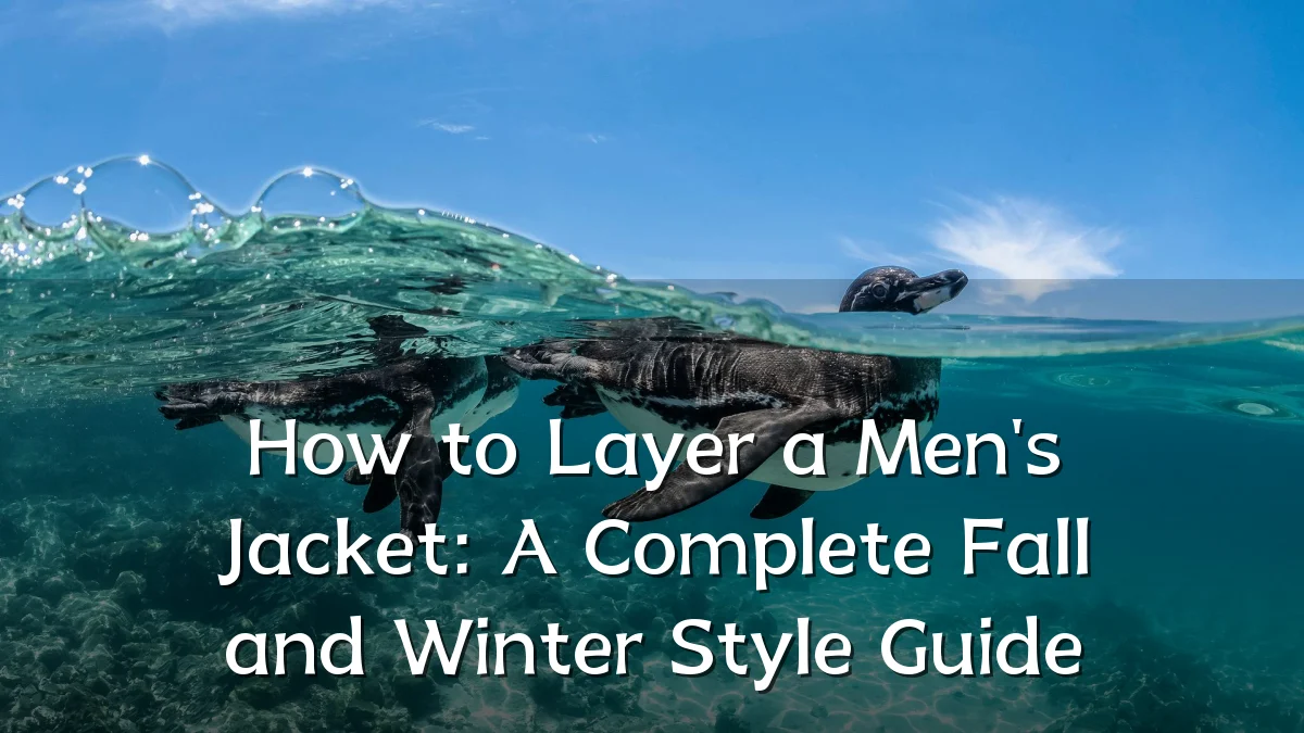How to Layer a Men's Jacket: A Complete Fall and Winter Style Guide