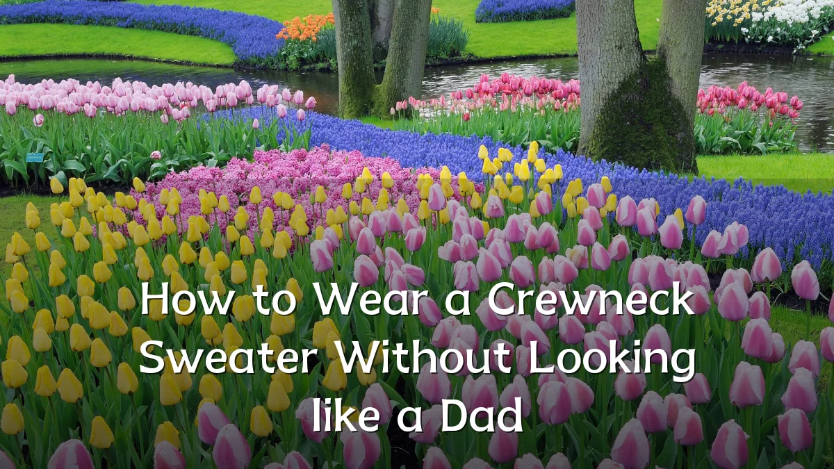 How to Wear a Crewneck Sweater Without Looking like a Dad