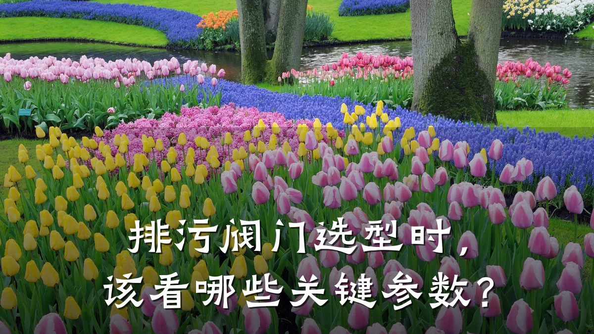排污阀门选型时,该看哪些关键参数?