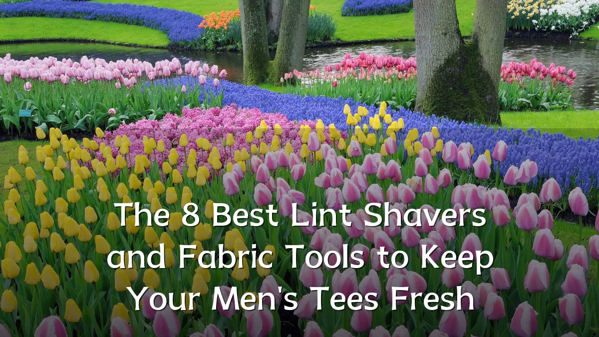 The 8 Best Lint Shavers and Fabric Tools to Keep Your Men's Tees Fresh