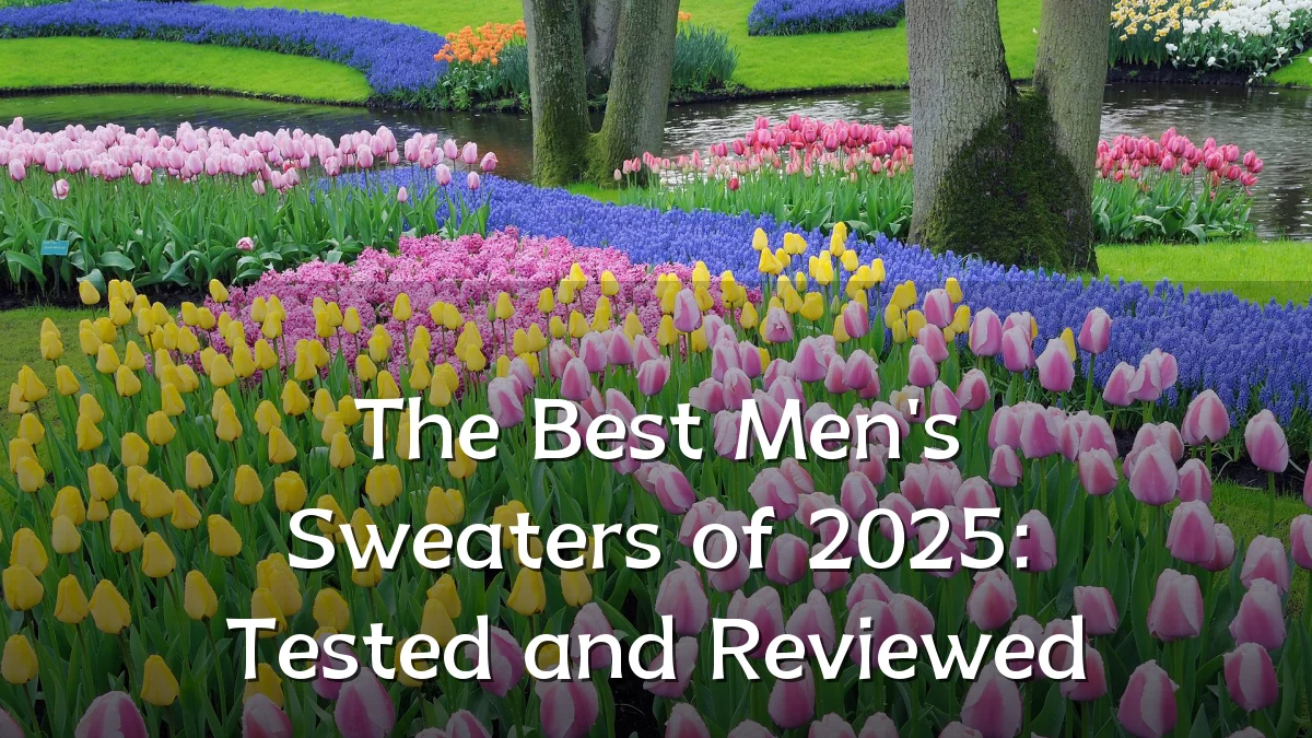 The Best Men's Sweaters of 2025: Tested and Reviewed