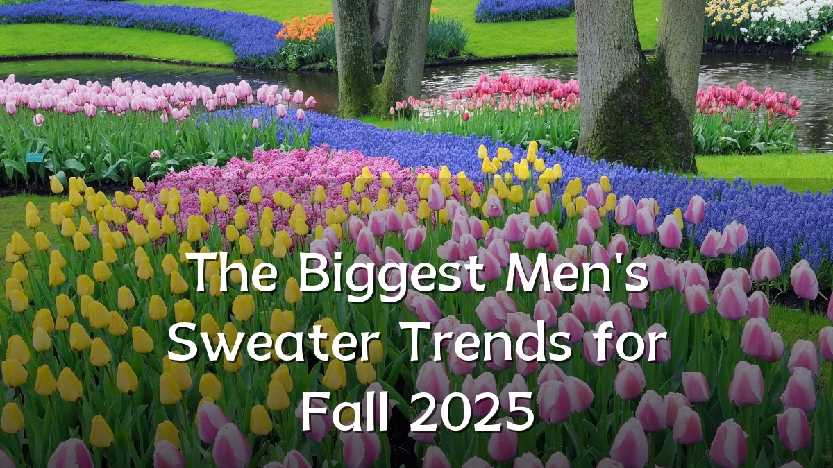 The Biggest Men's Sweater Trends for Fall 2025