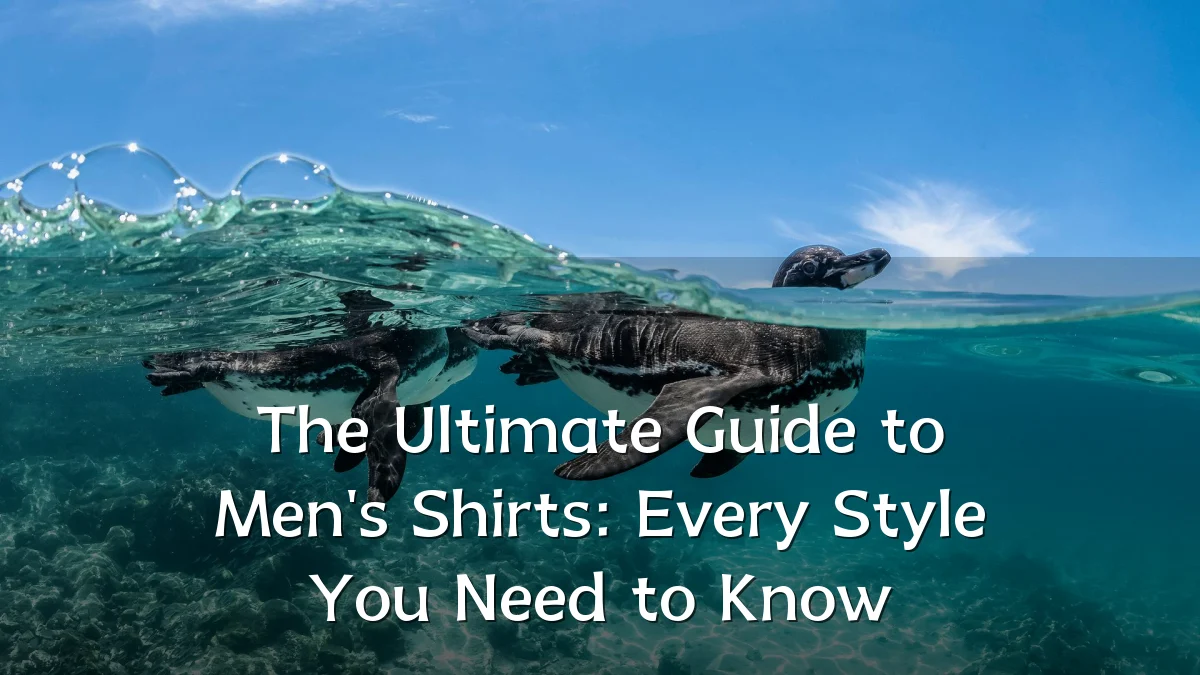 The Ultimate Guide to Men's Shirts: Every Style You Need to Know