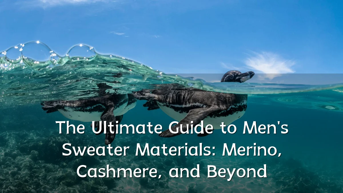 The Ultimate Guide to Men's Sweater Materials: Merino, Cashmere, and Beyond
