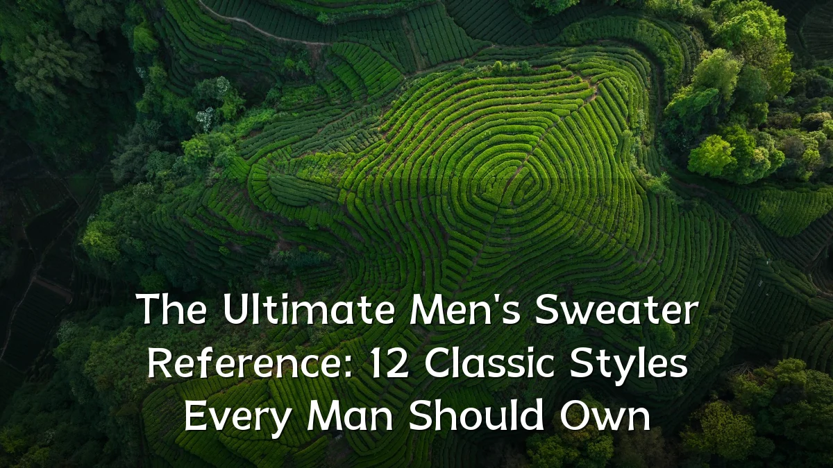 The Ultimate Men's Sweater Reference: 12 Classic Styles Every Man Should Own