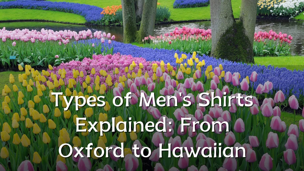 Types of Men's Shirts Explained: From Oxford to Hawaiian