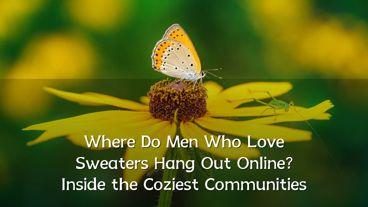 Where Do Men Who Love Sweaters Hang Out Online? Inside the Coziest Communities